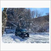 せっかく雪が積もったので
