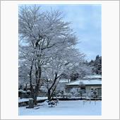 雪景色