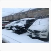 雪で(T ^ T)