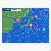 切株の伐採など・・・。