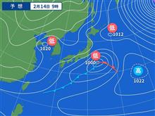 切株の伐採など・・・。