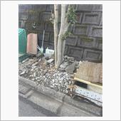 以前投稿した不法投棄ゴミ無く ...