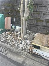 以前投稿した不法投棄ゴミ無くなった。