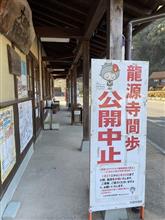 オーマイガー！