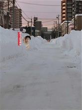 ひょっこりはんにご注意を😅