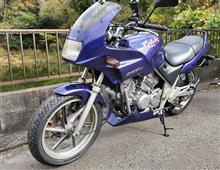 ゼルビス 詳細