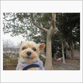 過去からの挑戦🐶