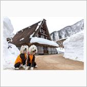岐阜県雪遊び合宿に行ってきま ...