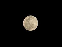 今夜はスノームーン🌕