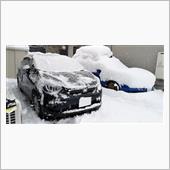 ドカ雪