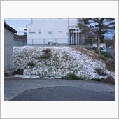 雪が降って残った