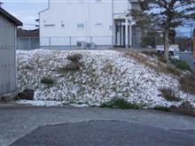 雪が降って残った
