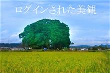 ログインされた美観　トトロの森