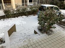 出撃致します(・∀・)ノ