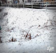 雪模様、金曜日の朝