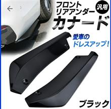 汎用カナード 加工中(笑)