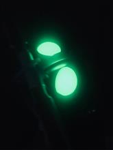 駆除開始♪