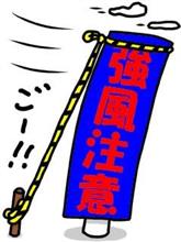 多分、ダメだな・・・。