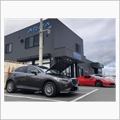 CX-3　究極のアーシングケ ...