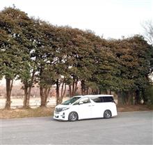 アルファードのタイヤが・・
