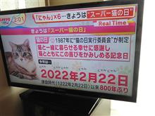 スーパーにゃーーーーす☆彡