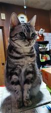 20220222　Super猫の日