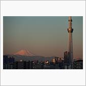 富士山の日