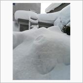 雪・雪・雪・・・・・・・
