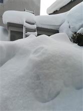 雪・雪・雪・・・・・・・