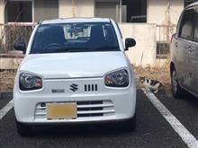 クラウンのアイデンティティ クラウンのアイデンティティ