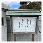 木曜日お早うございます