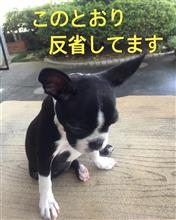 お詫び