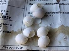 ディテイリング用品小屋に現れた使者
