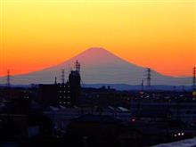 やっと週末です