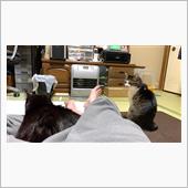スポーツシート装着しました  ...