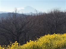春よ来い