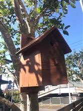 続　シジュウカラ誘致作戦など