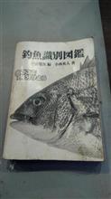 さかなやアラキさん(^p^)／🐟