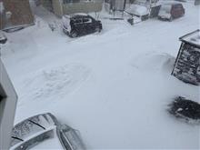 想定外の大雪を体験して　その①