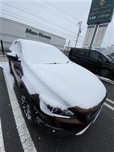 心地良い居場所
