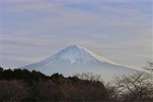 2月も終わり