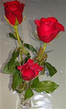 記念日(^^)ノ 記念日(^^)ノ