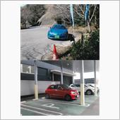 ウチのルノー車、元気ですよ（ ...