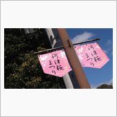 最初で最後の桜(その４)
