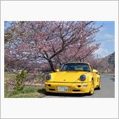 休もう！ 鋸南・頼朝桜、ちょ ...