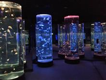 のとじま水族館