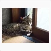 今日は休暇でした。