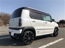 久しぶりの洗車💦と撮影📸
