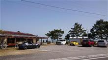 海辺でコーヒーのあとは、河津桜＆ミモザでみかんレモネード😄