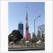 春のような・・・